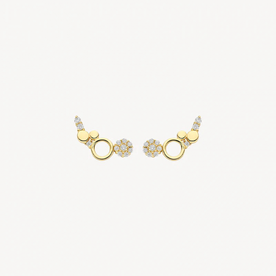 Blush Oorknopjes rondjes met zirkonia 14k goud - 58219