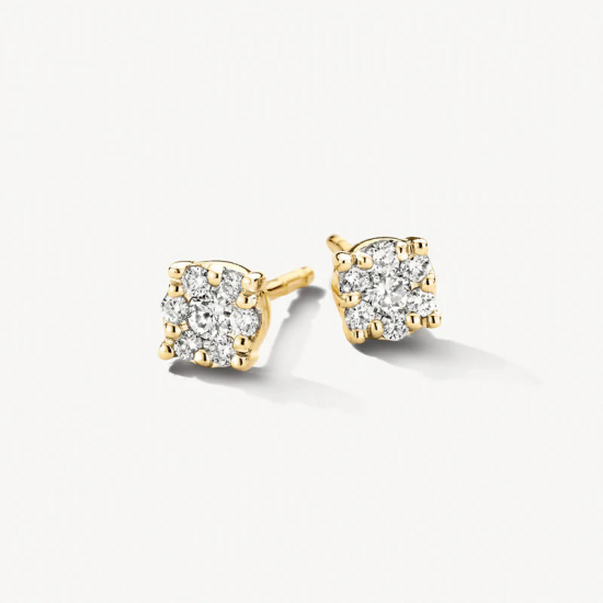 Blush Oorknopjes met diamanten in Illusiezetting 2x 0.07ct 14k goud - 58221