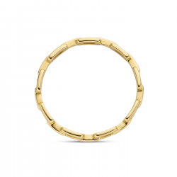 Blush Ring met closed forever-schakels 14k goud maat 16,5 1230YGO-52 - 58438