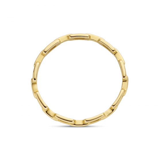 Blush Ring met closed forever-schakels 14k goud maat 16,5 1230YGO-52 - 58438