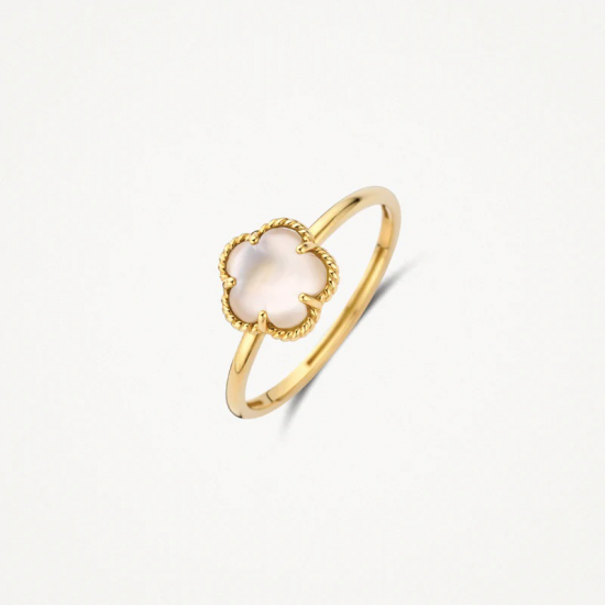 Blush Ring met verfijnde parelmoer steen in 14k goud maat 17 1/4 1280YMQ/54 - 58934