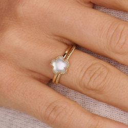 Blush Ring met verfijnde parelmoer steen in 14k goud maat 17 1/4 1280YMQ/54 - 58934