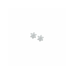 oorknoppen ster zirkonia halo 6 mm - 58783