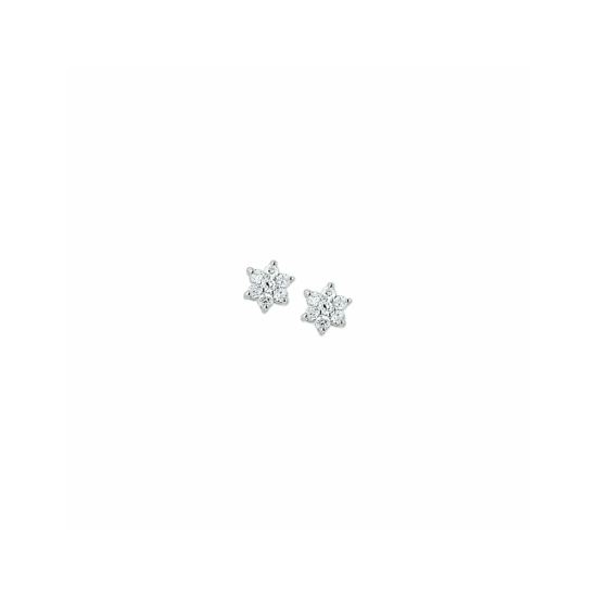 oorknoppen ster zirkonia halo 6 mm - 58783