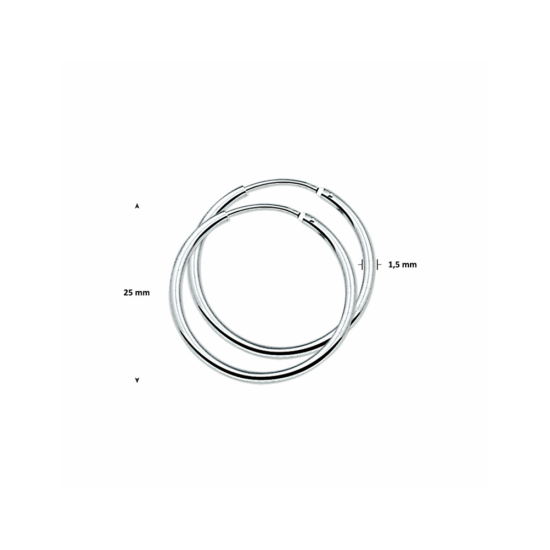 oorringen ronde buis - 56965