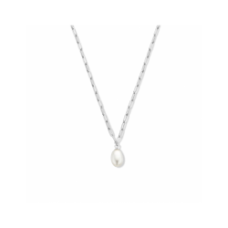 collier paperclip en parel 41 + 4 cm - 56518