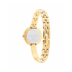 Calvin Klein CK25200279 Dames Horloge Staal 28mm - 57522