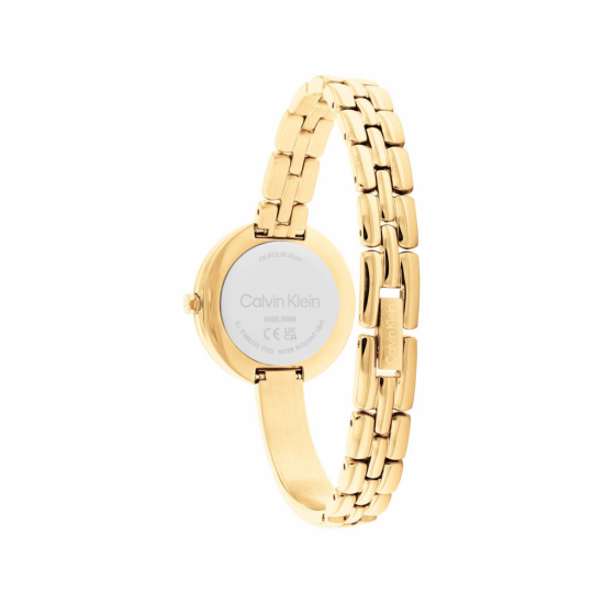 Calvin Klein CK25200279 Dames Horloge Staal 28mm - 57522