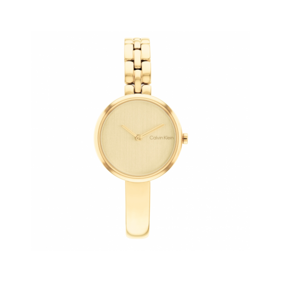 Calvin Klein CK25200279 Dames Horloge Staal 28mm - 57522