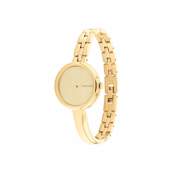 Calvin Klein CK25200279 Dames Horloge Staal 28mm - 57522