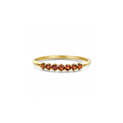 Swing Jewels Happiness Vintage Granaat Ring - Maat 17.25 - 56514