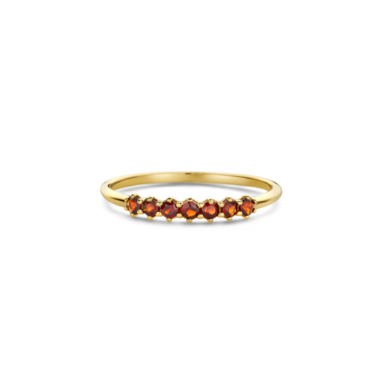 Swing Jewels Happiness Vintage Granaat Ring - Maat 17.25 - 56514