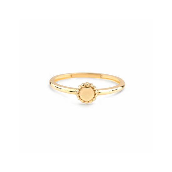 Swing Jewels ring  Classic Bloom Ring maat 54 - 57713