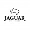 Jaguar horloge